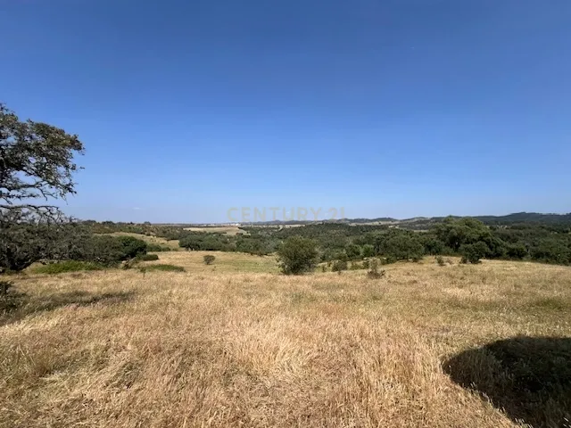 Herdade com 59,225 ha , 687m2 urbano, nascente de água, em Colos, Odemira - Image 51