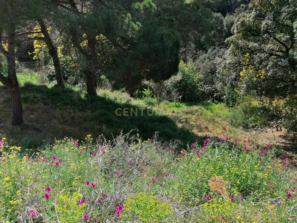 - Image 15