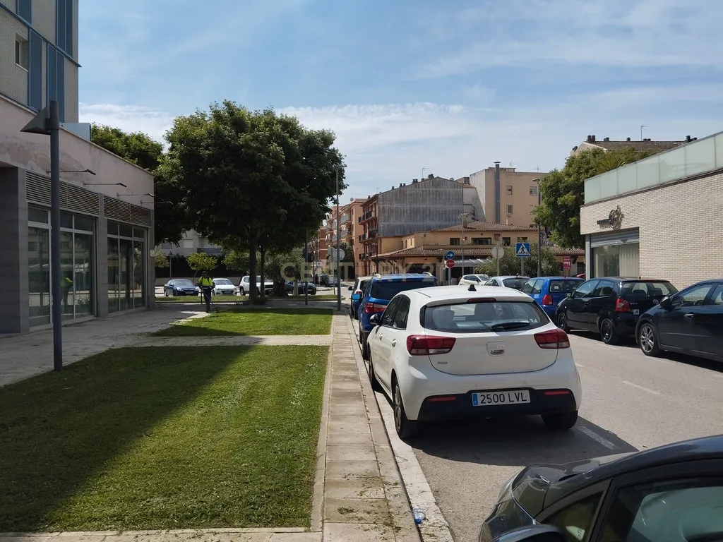 - Image 6