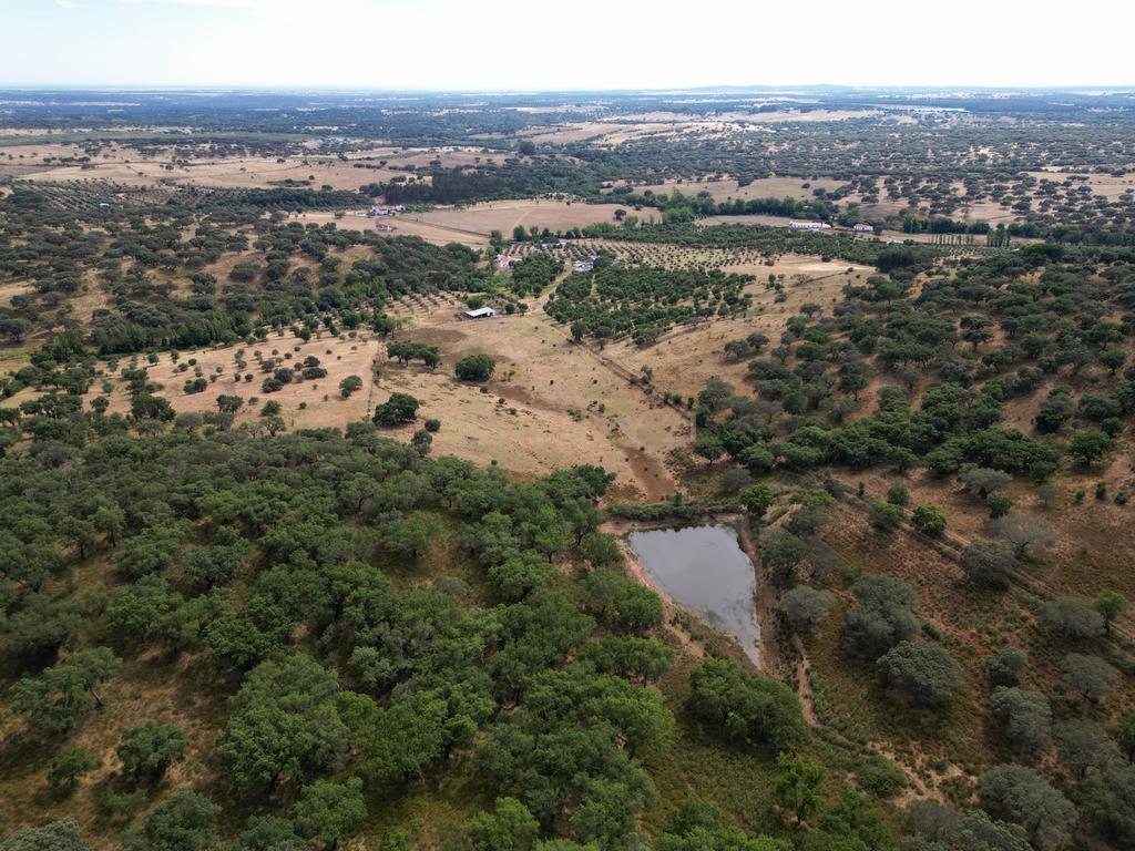 Quinta Charmosa em Montemor o Novo - Oportunidade Única - Image 3