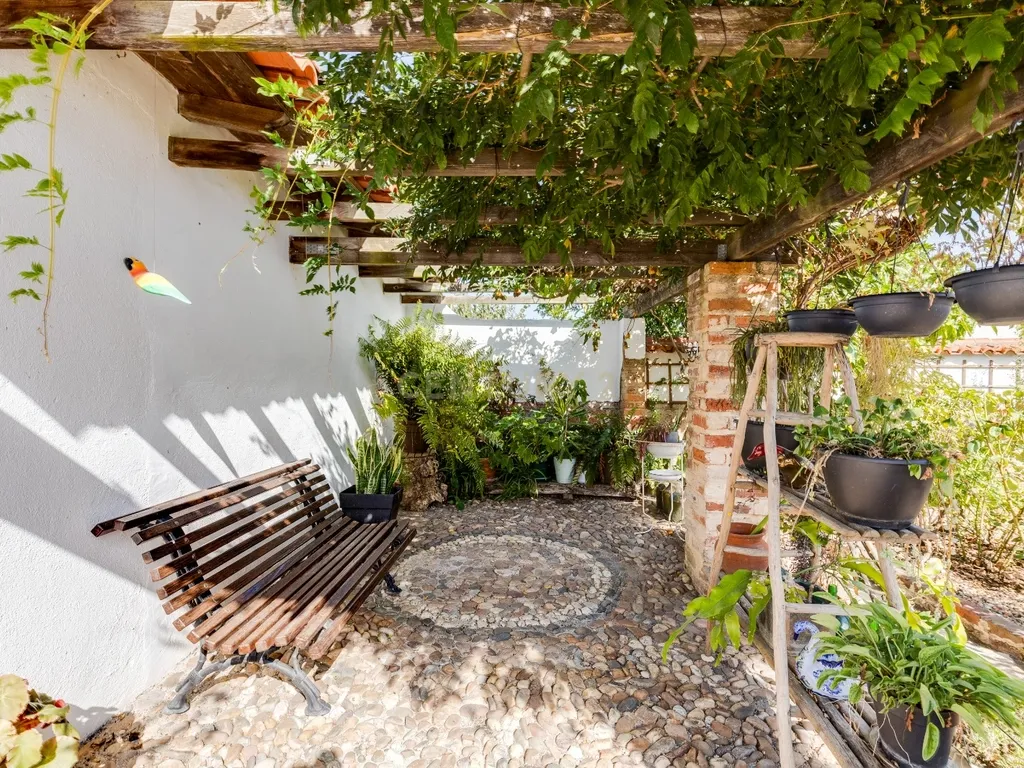 PROPRIEDADE DE CHARME JUNTO À GOLEGÃ - Image 7