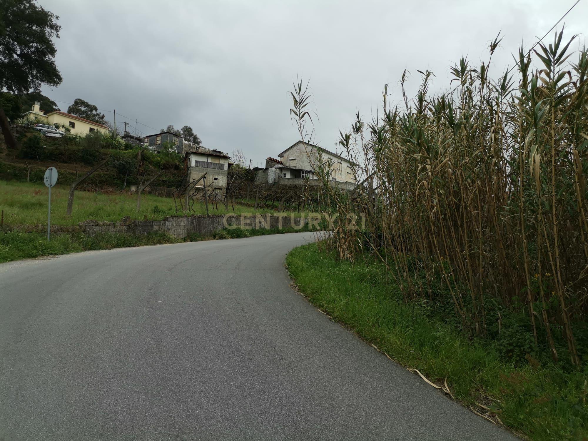 Terreno agrícola com àgua e viabilidade de construção em Granja, S. Tomé de Covelas, Baião, perto do do rio Douro, Porto - Image 24