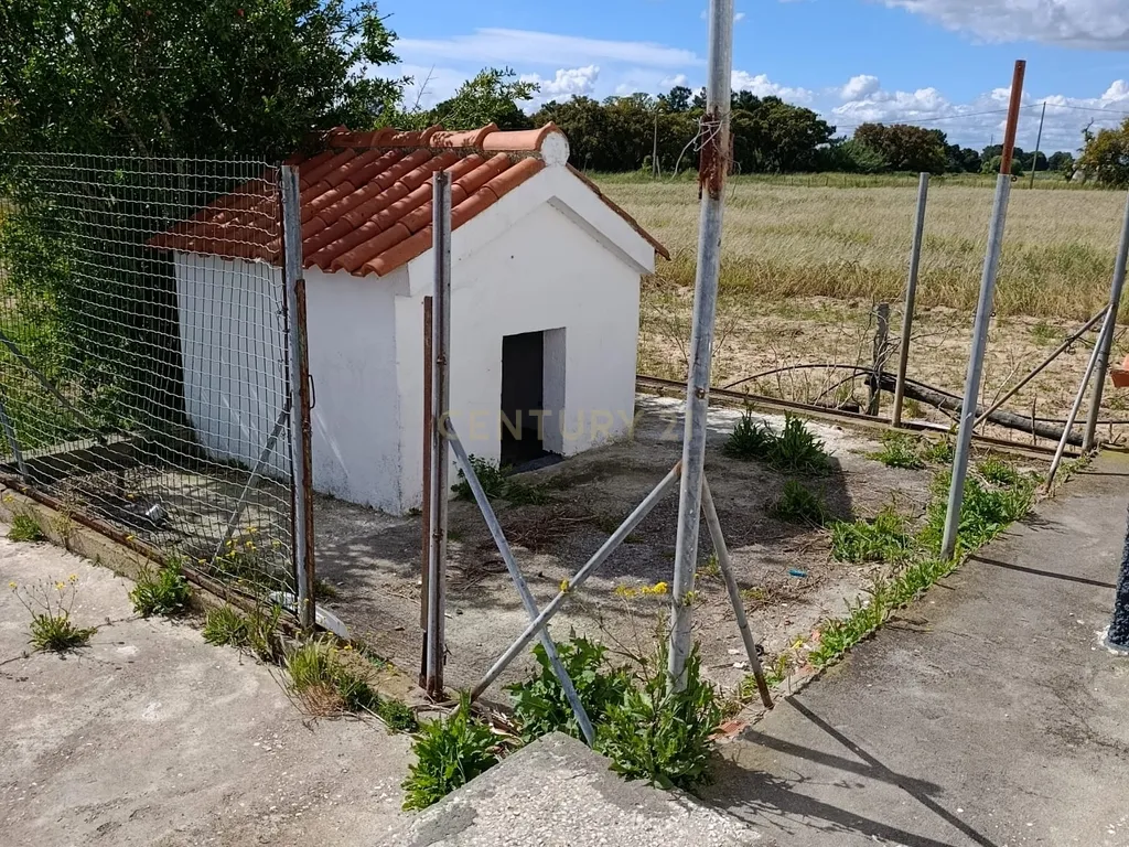 Quinta 8000m2 com 4 Moradias T2 e T3 - Image 3
