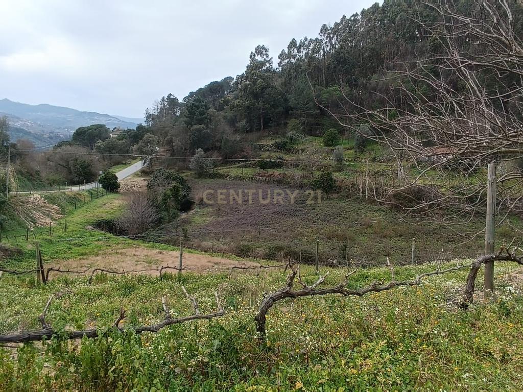 Casa com terreno de construção e agrícola perto do rio Douro em Granja, S. Tomé de Covelas, Baião, Porto - Image 39
