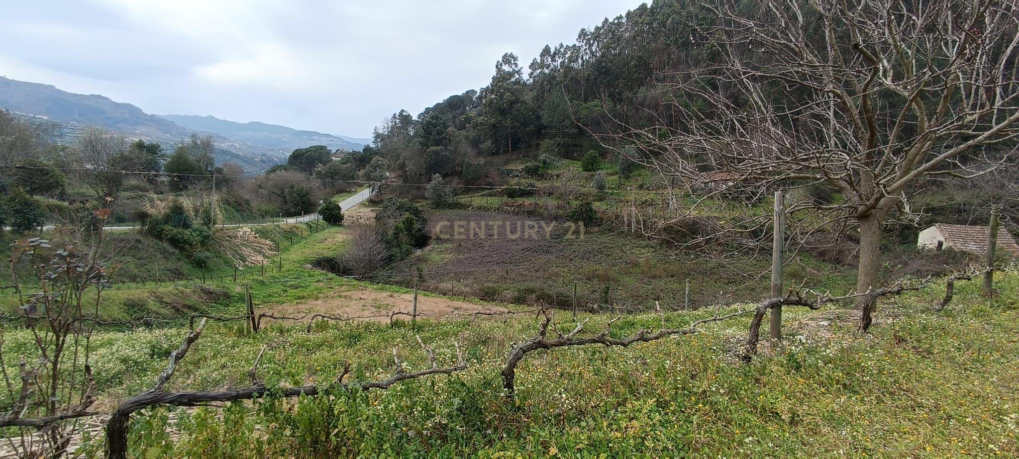 Terreno agrícola com àgua e viabilidade de construção em Granja, S. Tomé de Covelas, Baião, perto do do rio Douro, Porto - Image 30