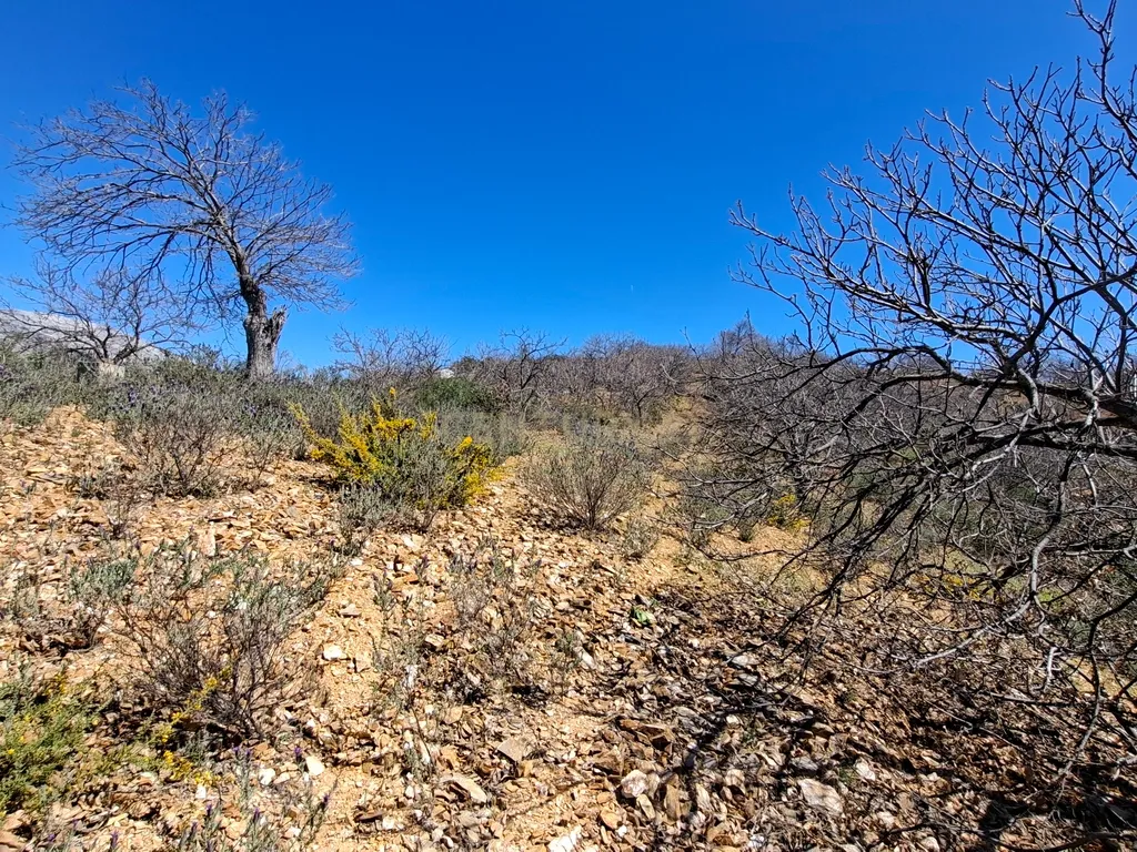Moradia geminada de gaveto, com orientação sul, vistas para a montanha e duas propriedades rústicas com oliveiras, vinhas e castanheiros, no coração do Alto Genal. - Image 35
