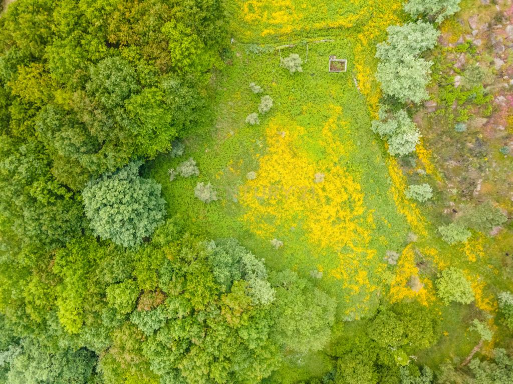 Terreno Urbano em Marco de Canaveses com Vista Campestre - Image 9