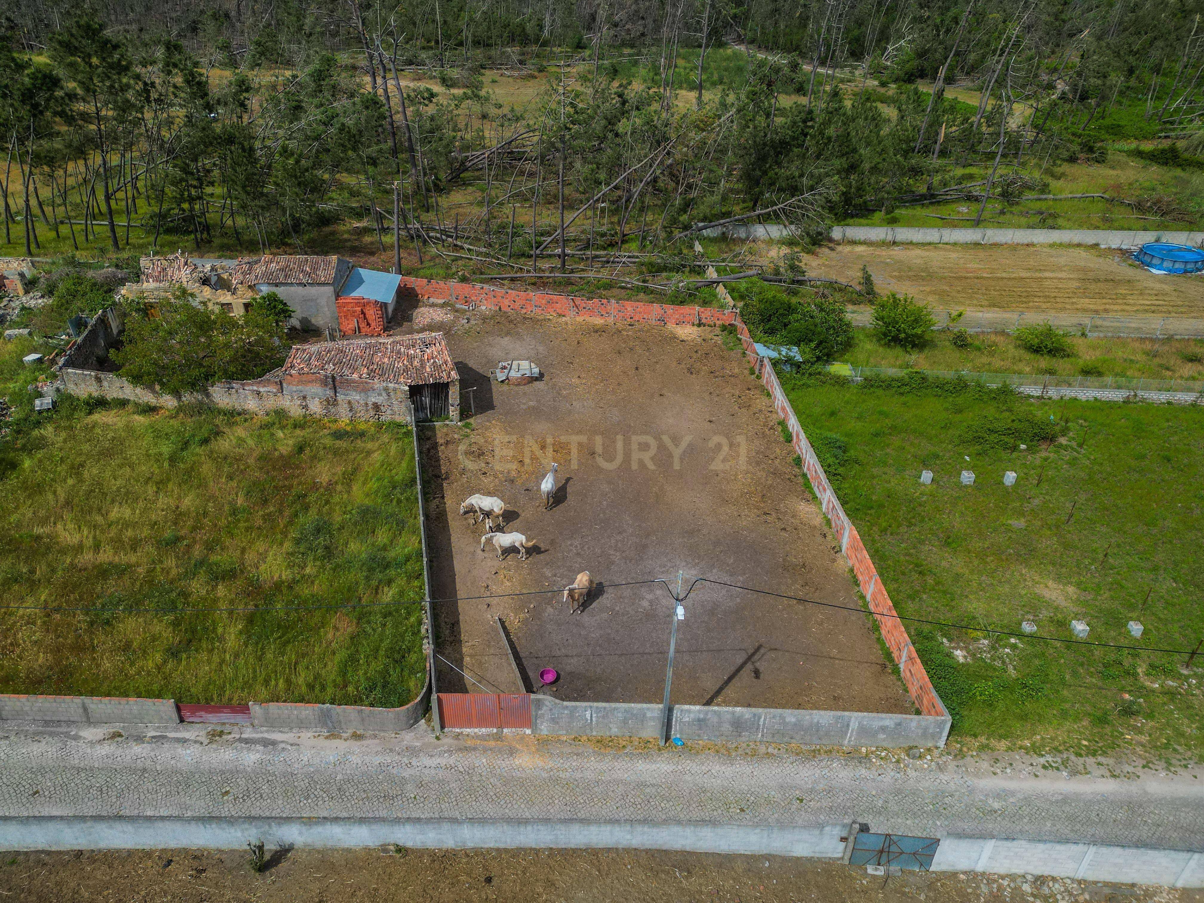 Fotografia 10 de Terreno com 740 m² para construção em Vieira de Leiria