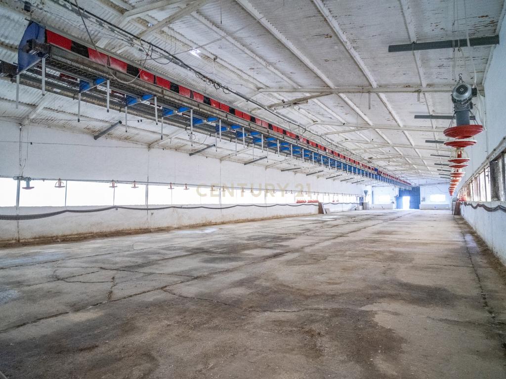 ## NAVES CON PARCELA N.:5269 (Precio: 435.000 Euro)