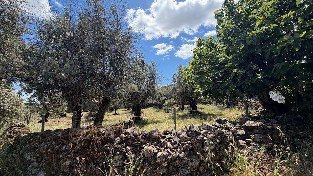 2 Moradias para recuperação - Flor da Rosa - Crato - Alentejo - View 4