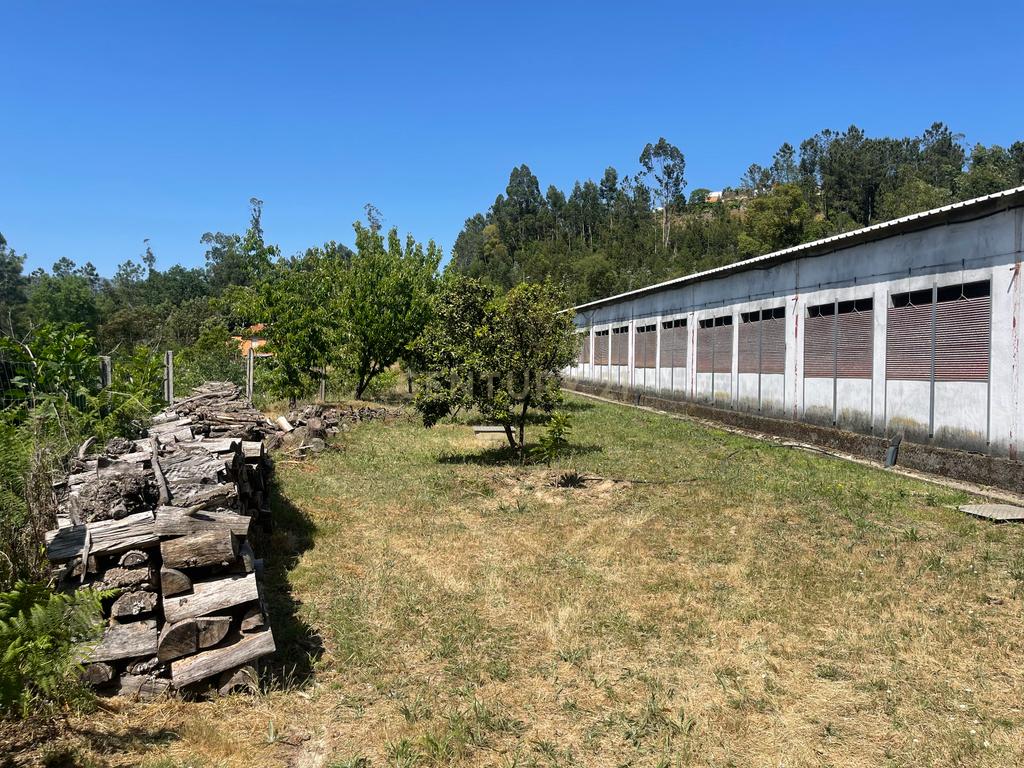 Terreno de 7.500 m² situado próximo ao lago, contendo uma casa a ser restaurada e um aviário automatizado altamente rentável. - Image 31