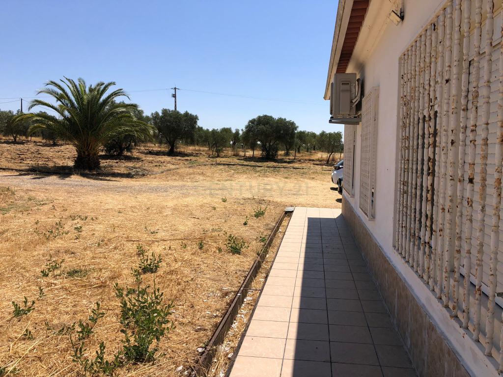 Espetacular Moradia com Piscina e Vinhedo em Campo Maior - Image 10