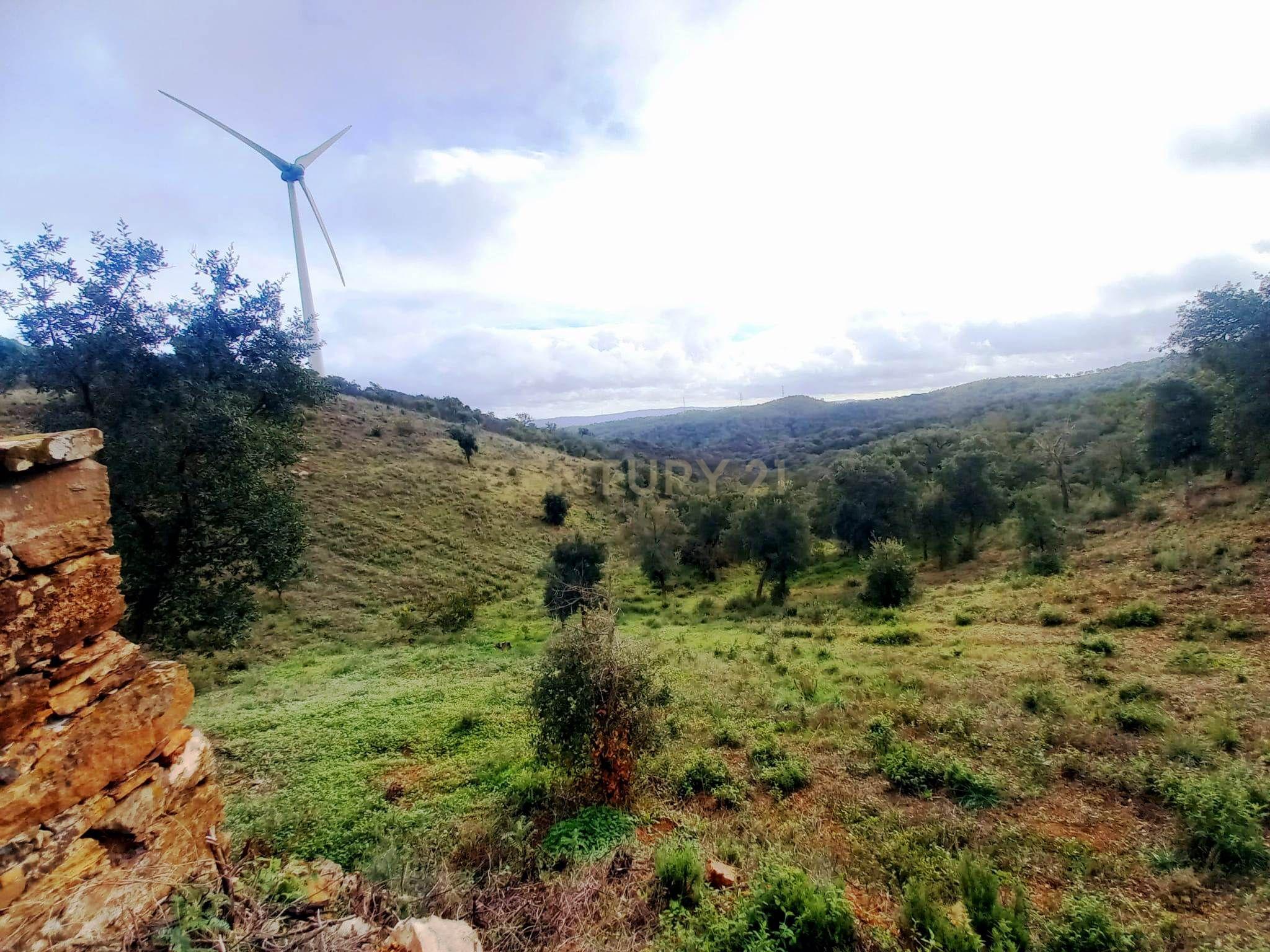 Investimento Rural: 20 Hectares com Rendimento