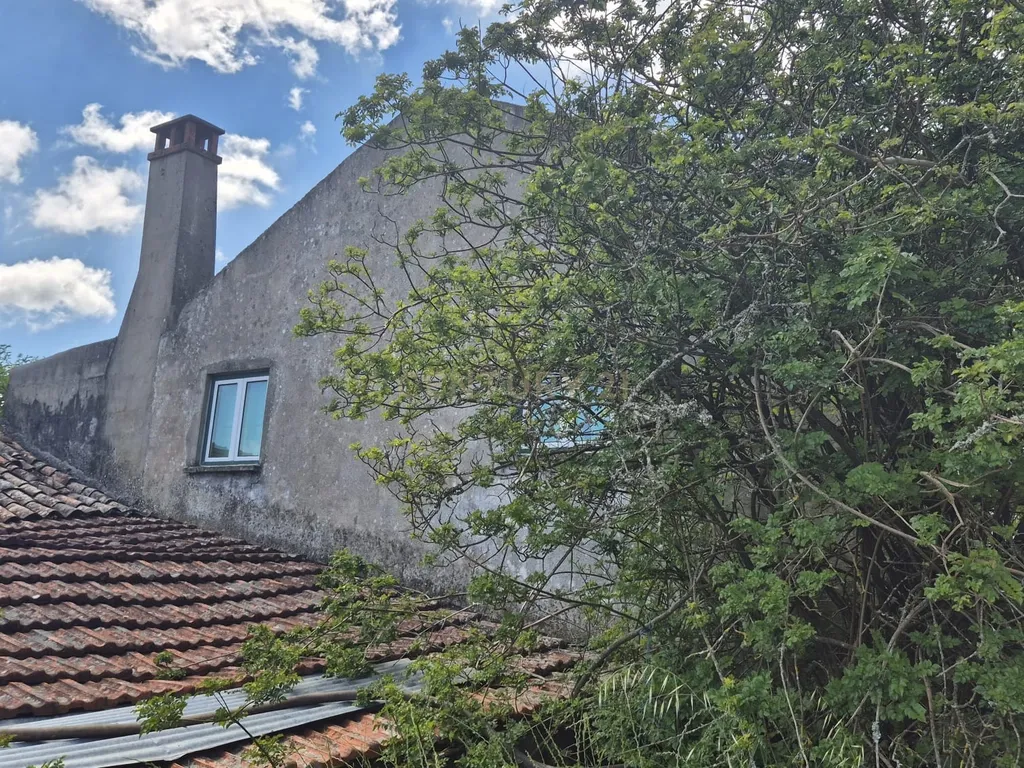 Moradia T2 para recuperar no centro da aldeia de Vale Centeio – Pombalinho - Soure - Image 22