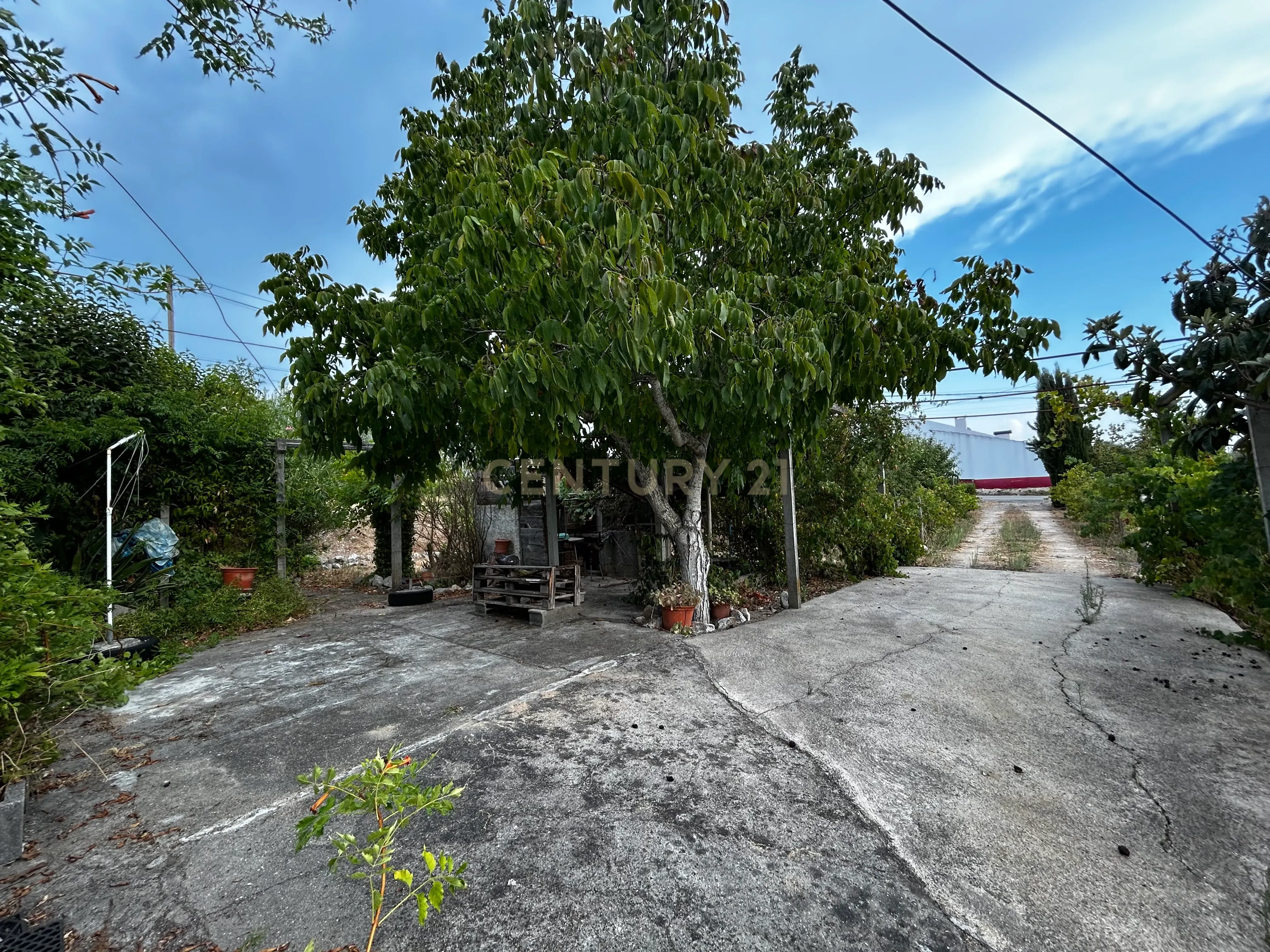 Fotografia 6 de Moradia em Tomar, Santarém - Oportunidade Única