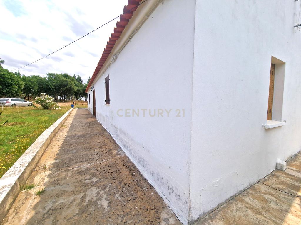 Monte/Terreno em Santiago do Cacém, com Vista Campestre e Árvores Frutíferas - Image 28