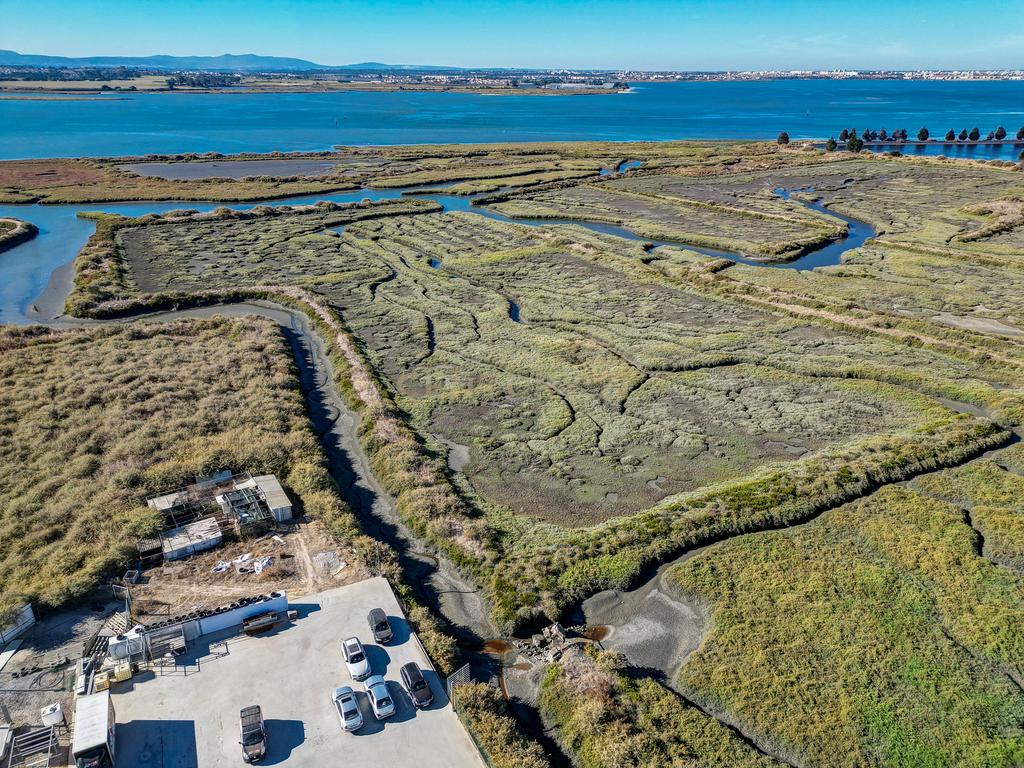 Terreno 20,18ha, Montijo - Seixalinho, para actividades de piscicultura e agricultura - Image 34