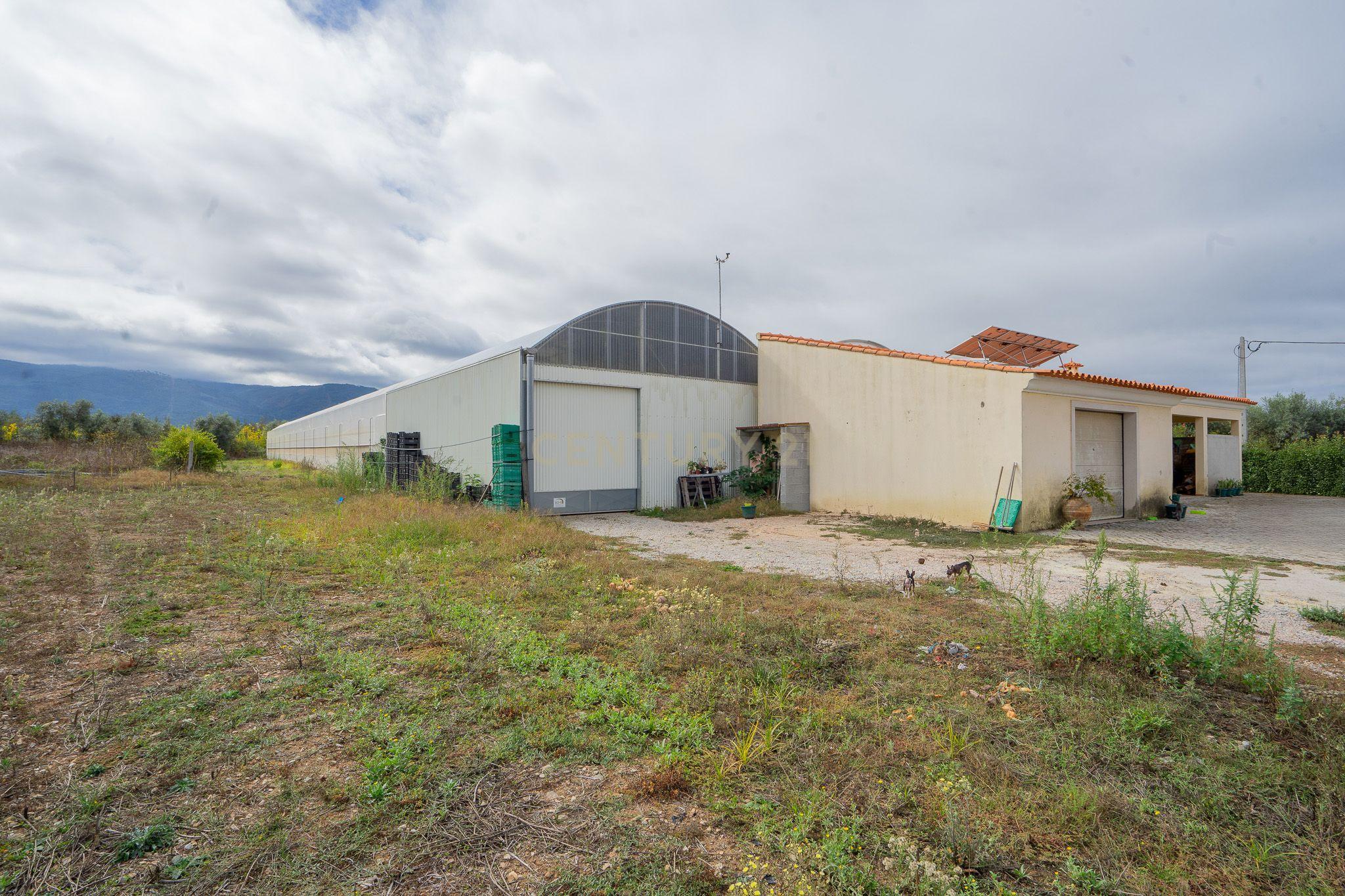Moradia T4 - Lousã - Image 63