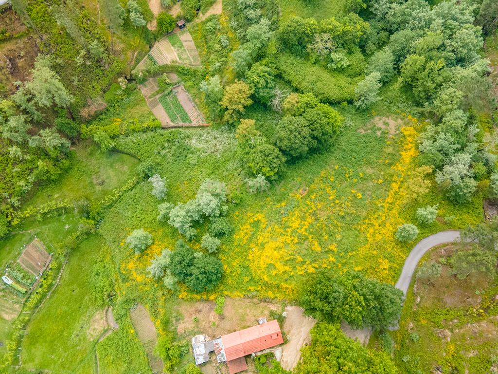 Terreno Urbano em Marco de Canaveses com Vista Campestre - Image 8