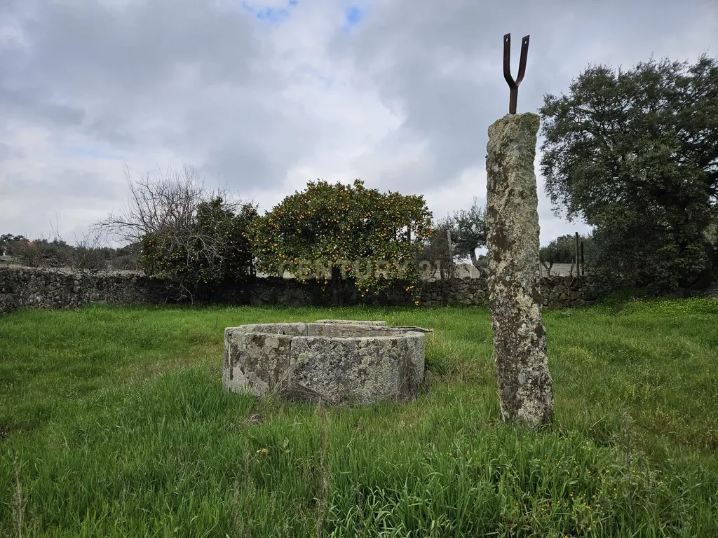 Quintinha na Lousa, Castelo Branco - Image 20