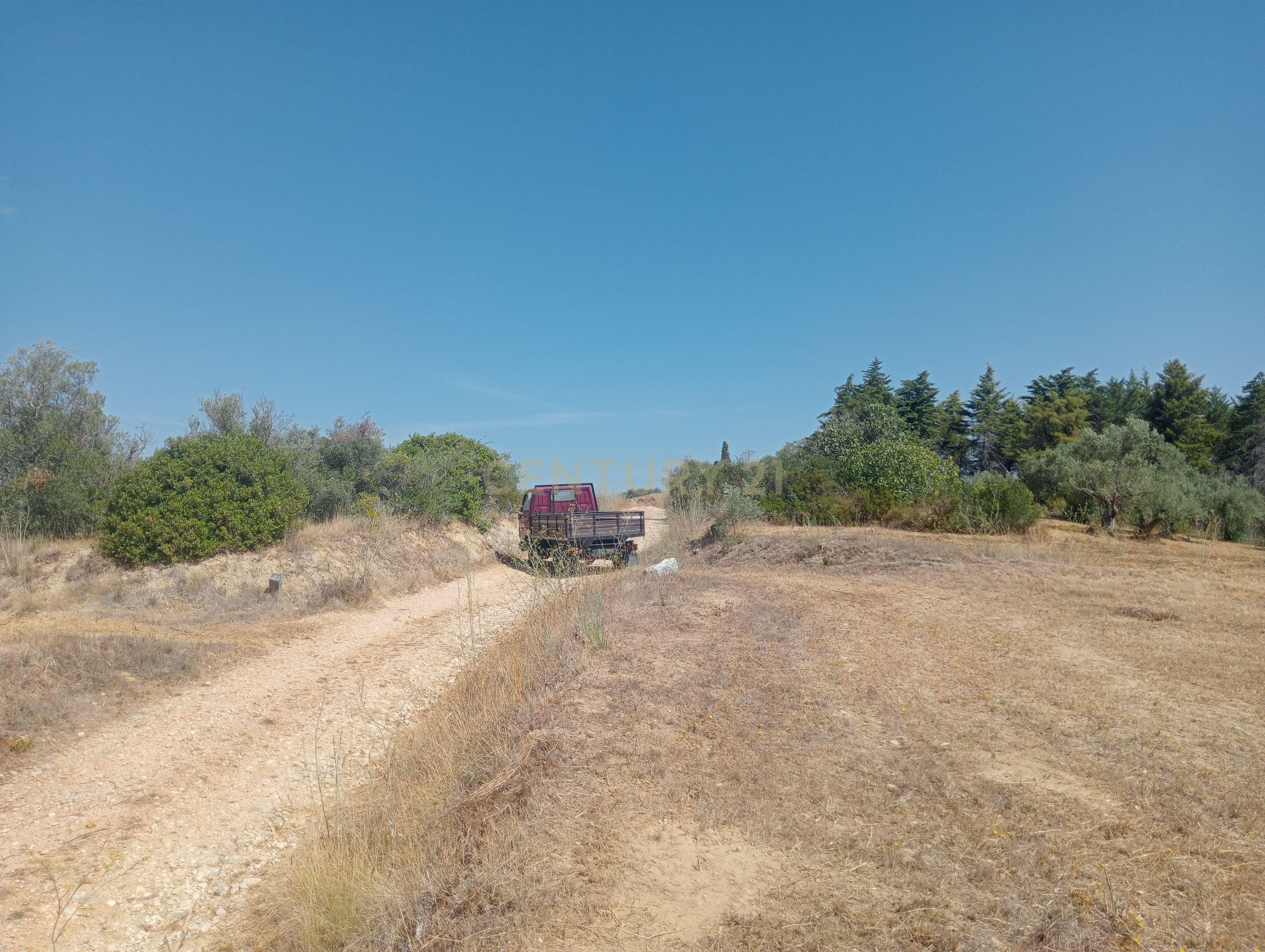 Fotografia 4 de Terreno Agrícola em Brogueira, Torres Novas - 13640m²