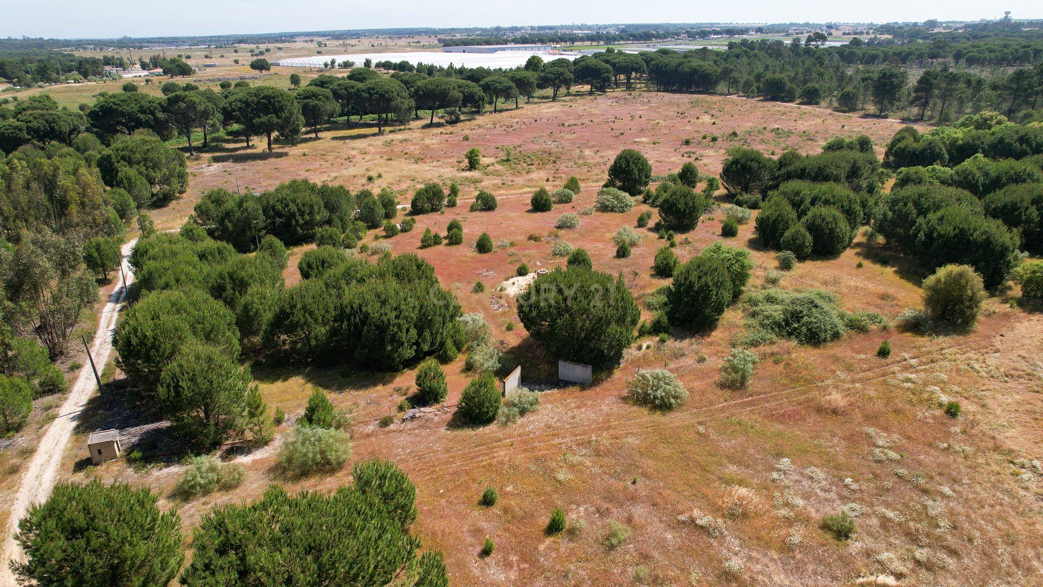 Terreno Rústico c/ 22.500m2 - Sto Isidro de Pegões - Montijo - Image 7