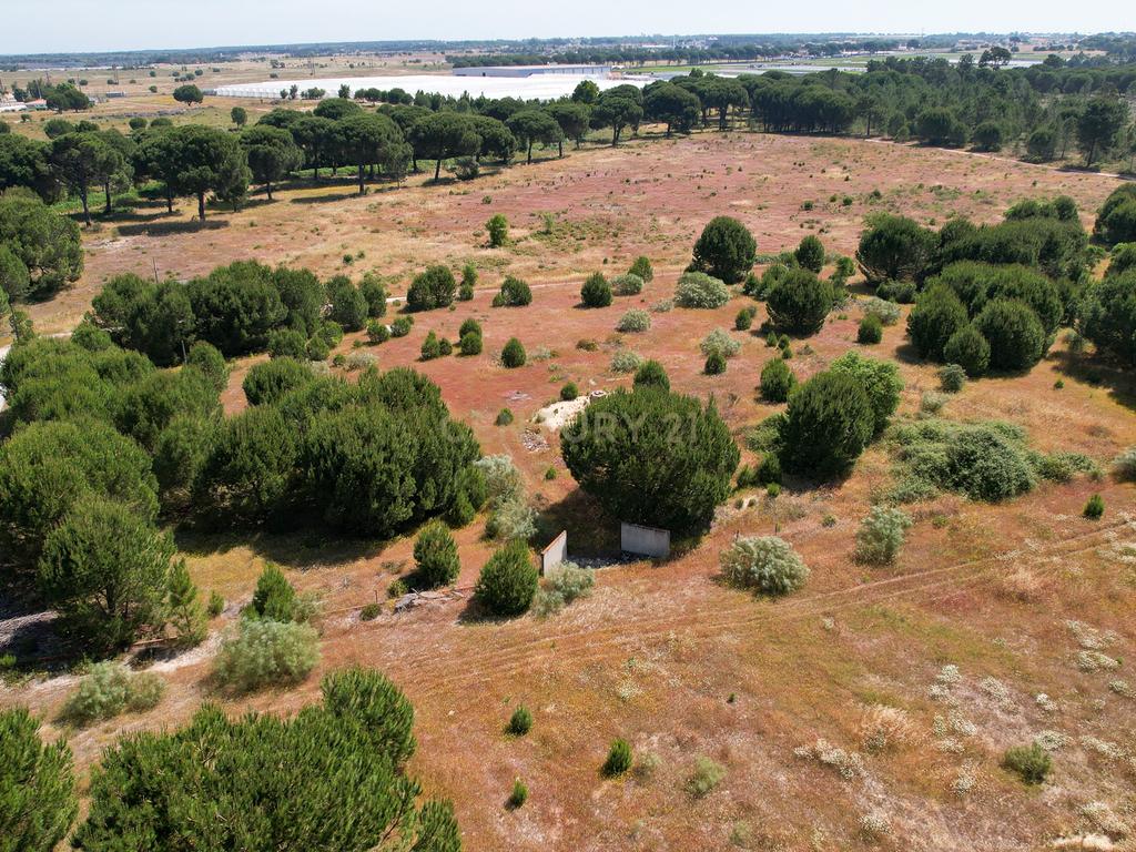 Terreno Rústico c/ 22.500m2 - Sto Isidro de Pegões - Montijo - Image 1