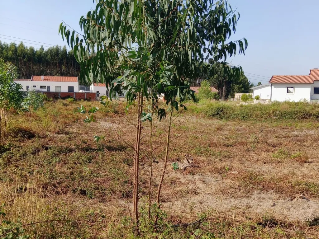 Terreno com projecto aprovado, no Cidral, em Rio Maior - Image 1