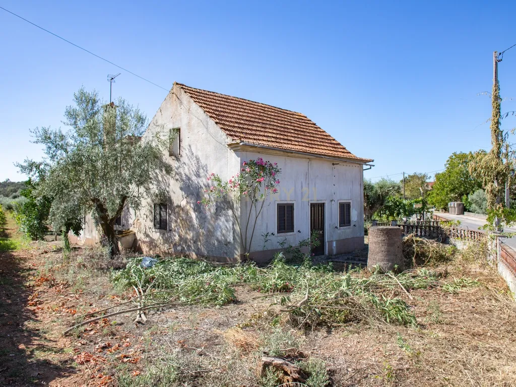 Duas moradias em Avecasta Ferreira do Zêzere - Image 16