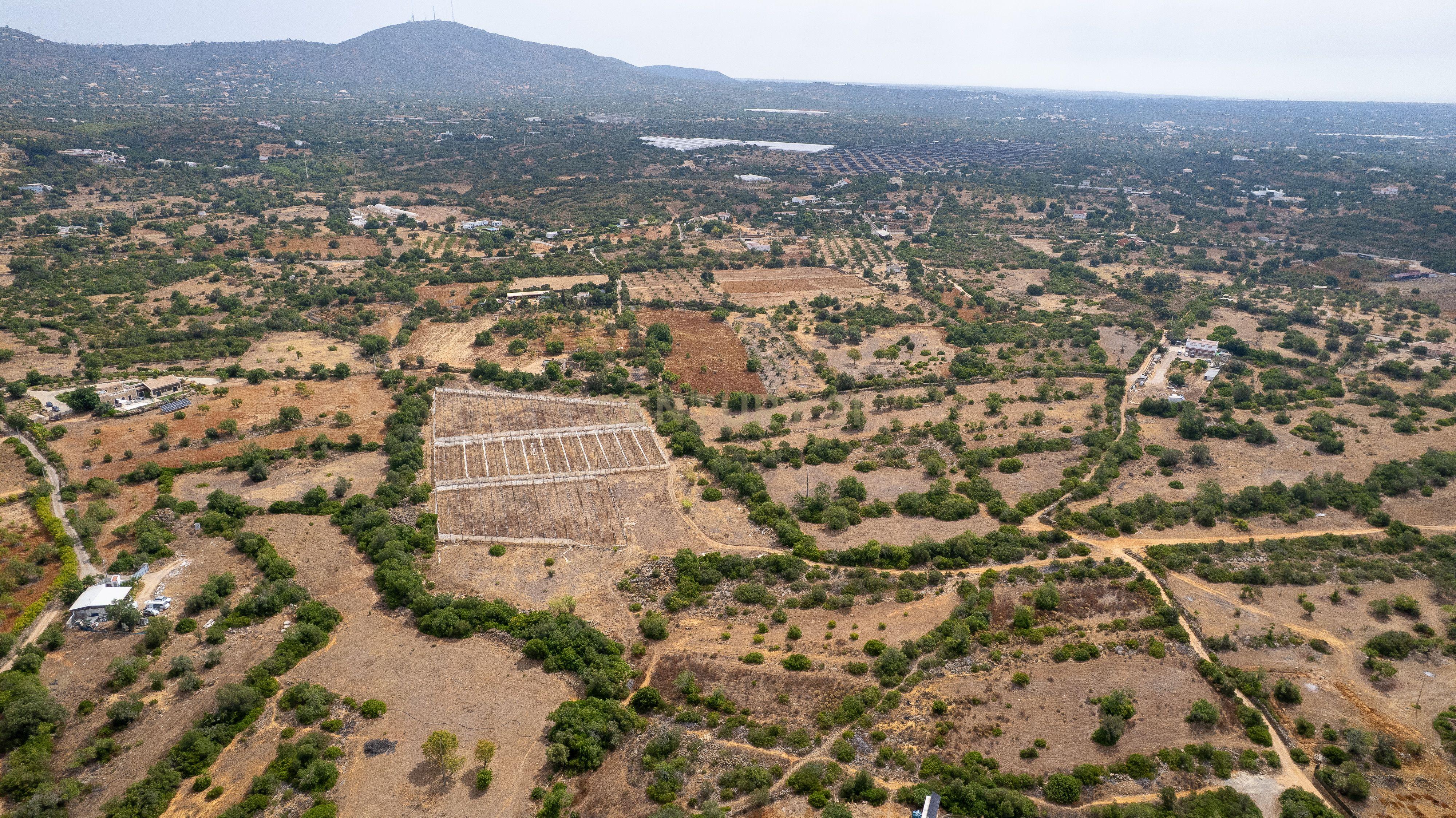 Fotografia 9 de Terreno Rústico de 3.650 m² entre Pechão e Estoi