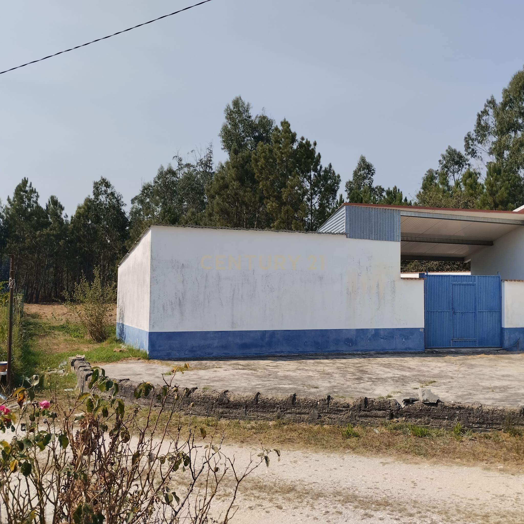 Moradia em Meires, Pelariga Pombal - Image 25