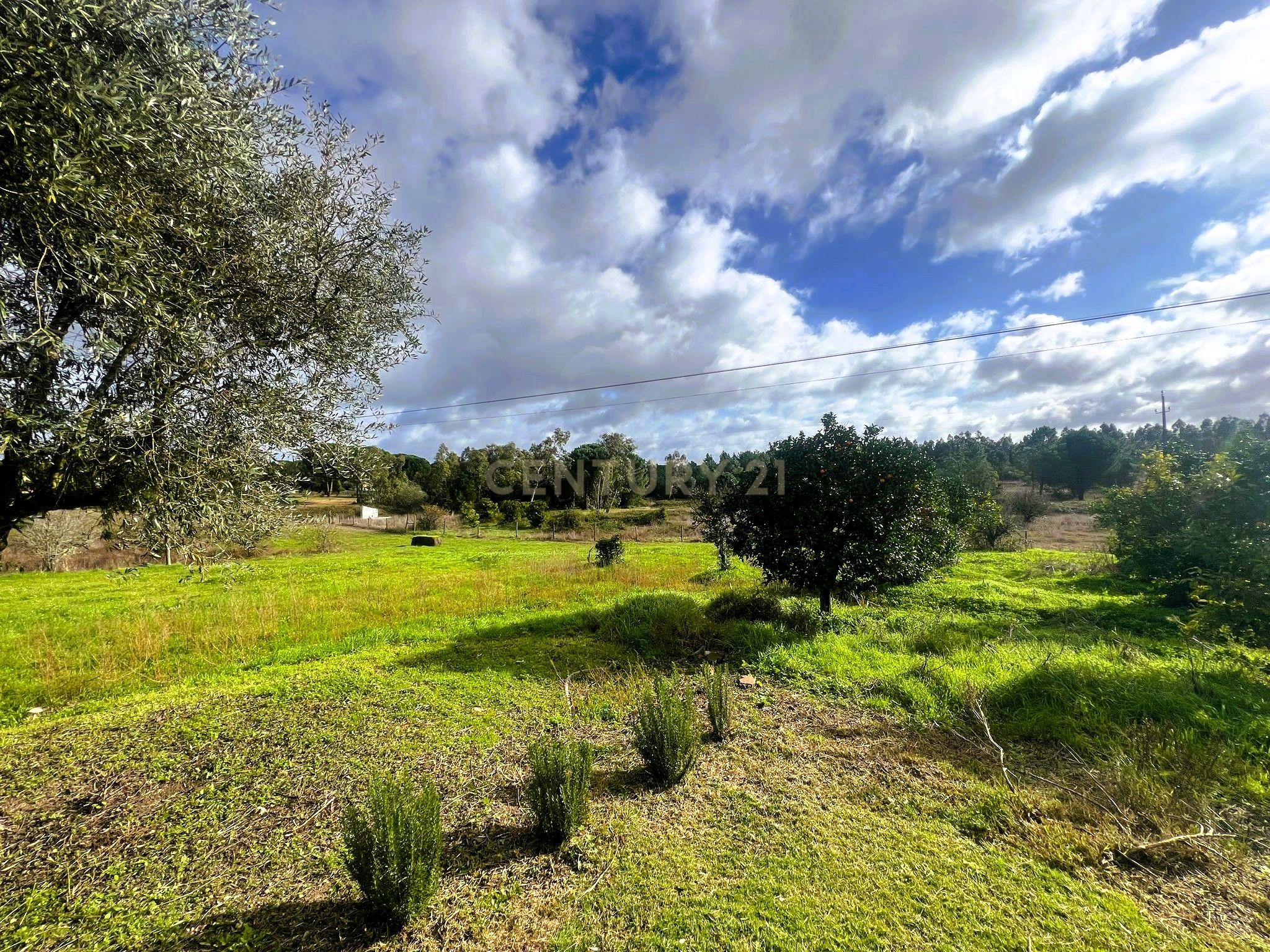 Fotografia 7 de Quinta da Francesa | Quinta com 42.400 m², 2 habitações, piscina, adega e total privacidade em Branca, Coruche