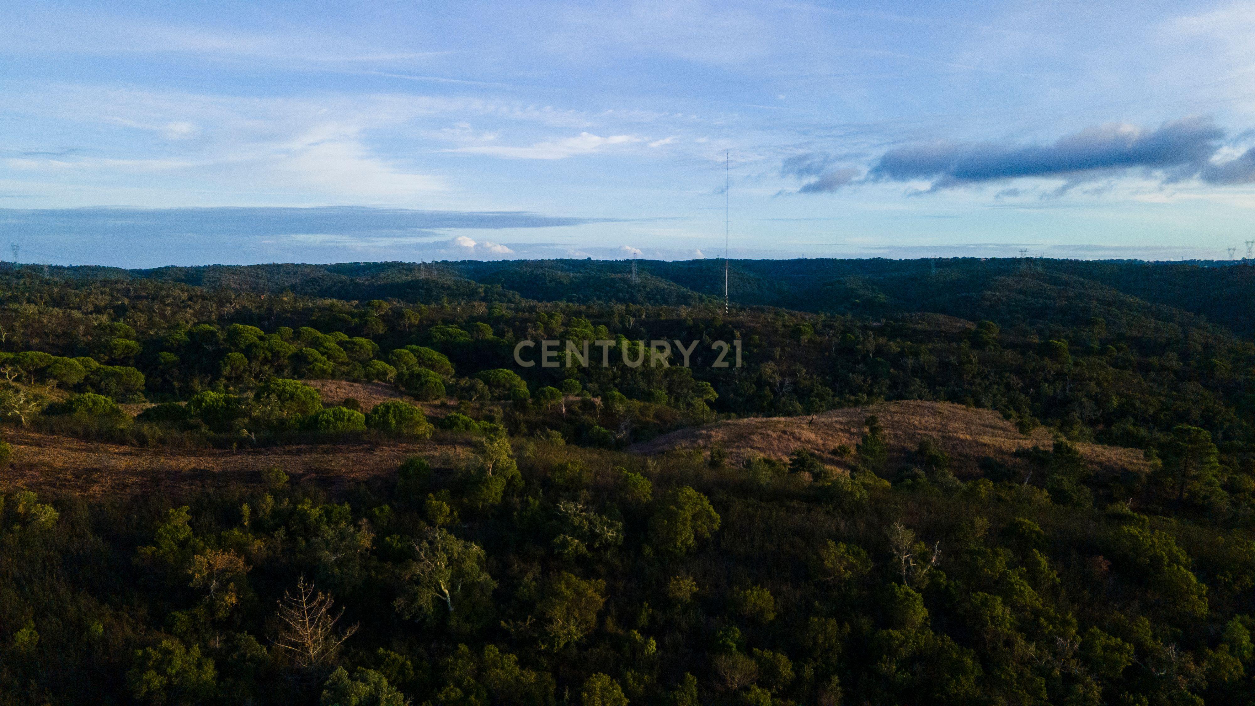 Fotografia 5 de Terreno único com vista mar e elevado potencial para Hotel Rural na Costa Alentejana - Santiago do Cacém