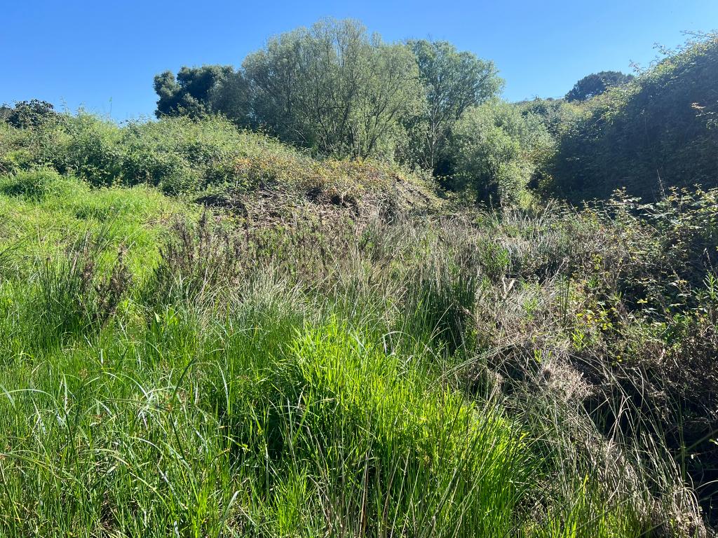 Oportunidade Única – Quinta com Potencial e Ribeira Natural - Image 14