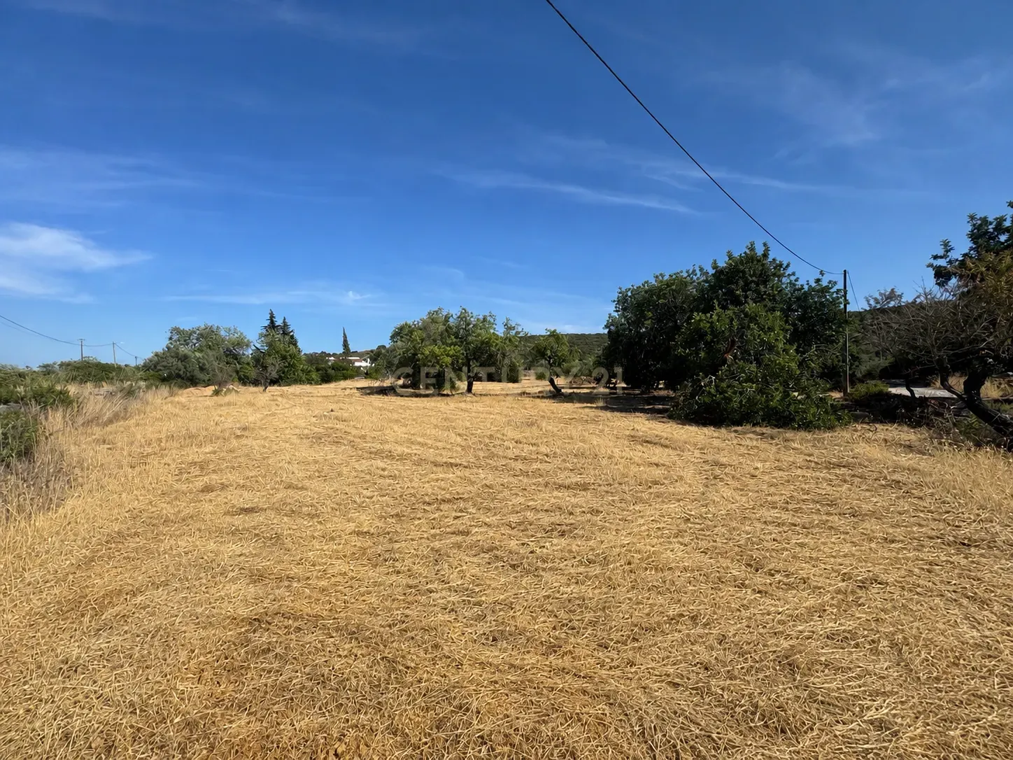 Fotografia 7 de Terreno Rústico com 3.560 m² em Pereiro – Moncarapacho, Olhão