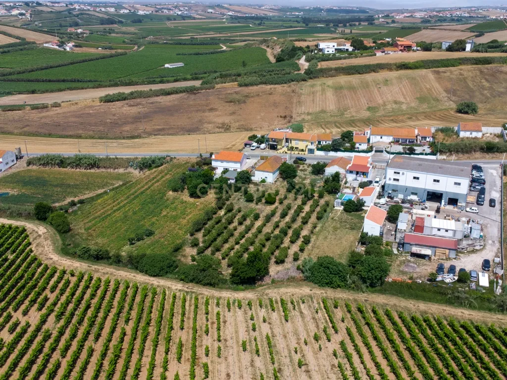Pequena Quinta em Bonabal – Ventosa, Torres Vedras - Image 2