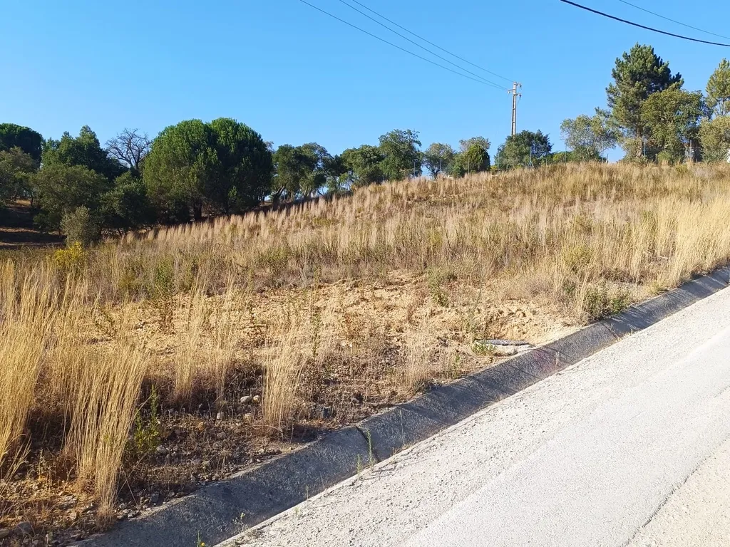 Terreno com Grande Potencial - Image 1