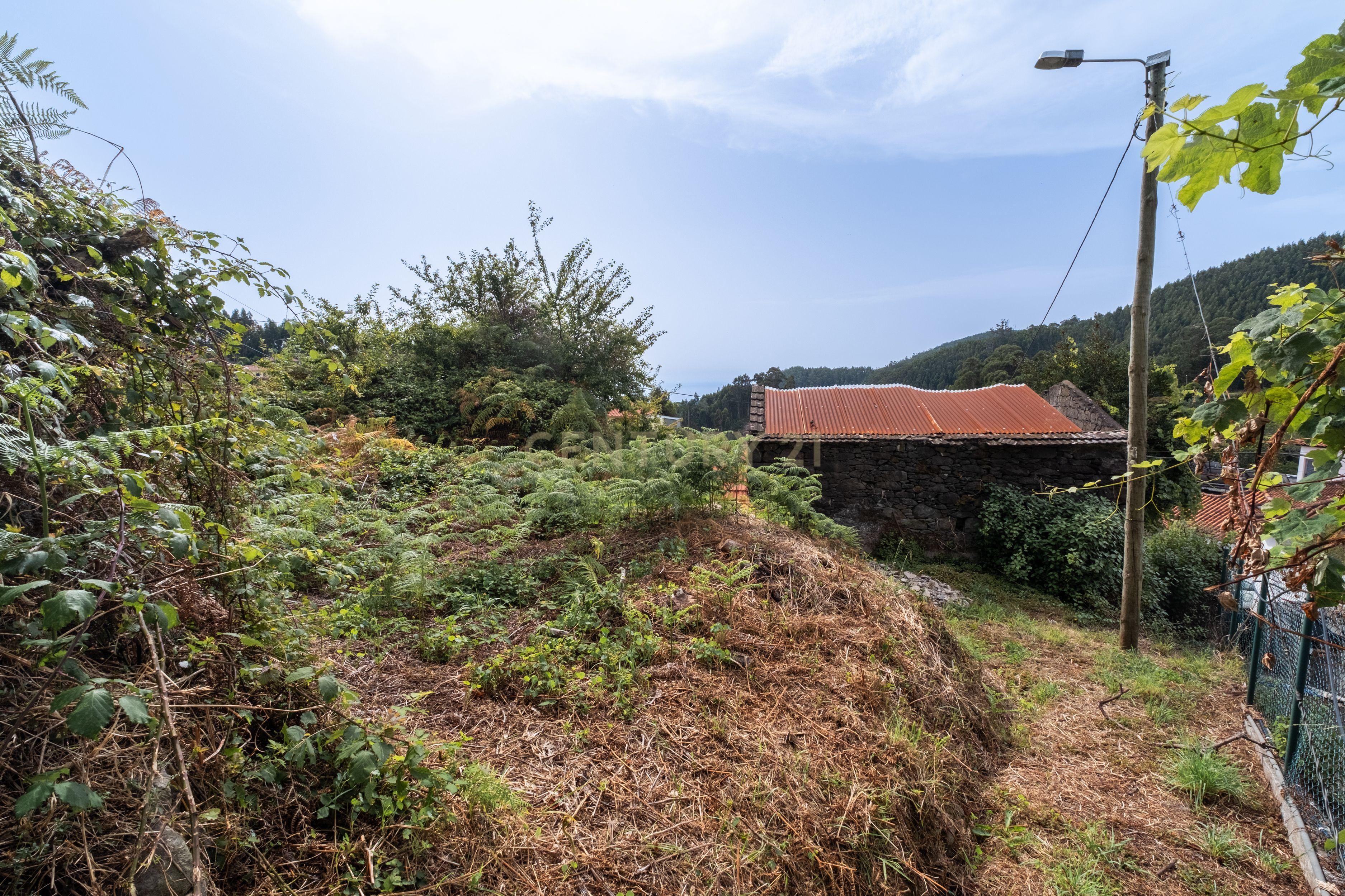 Moradia T1 à venda em Santo António da Serra, Santa Cruz — foto 29
