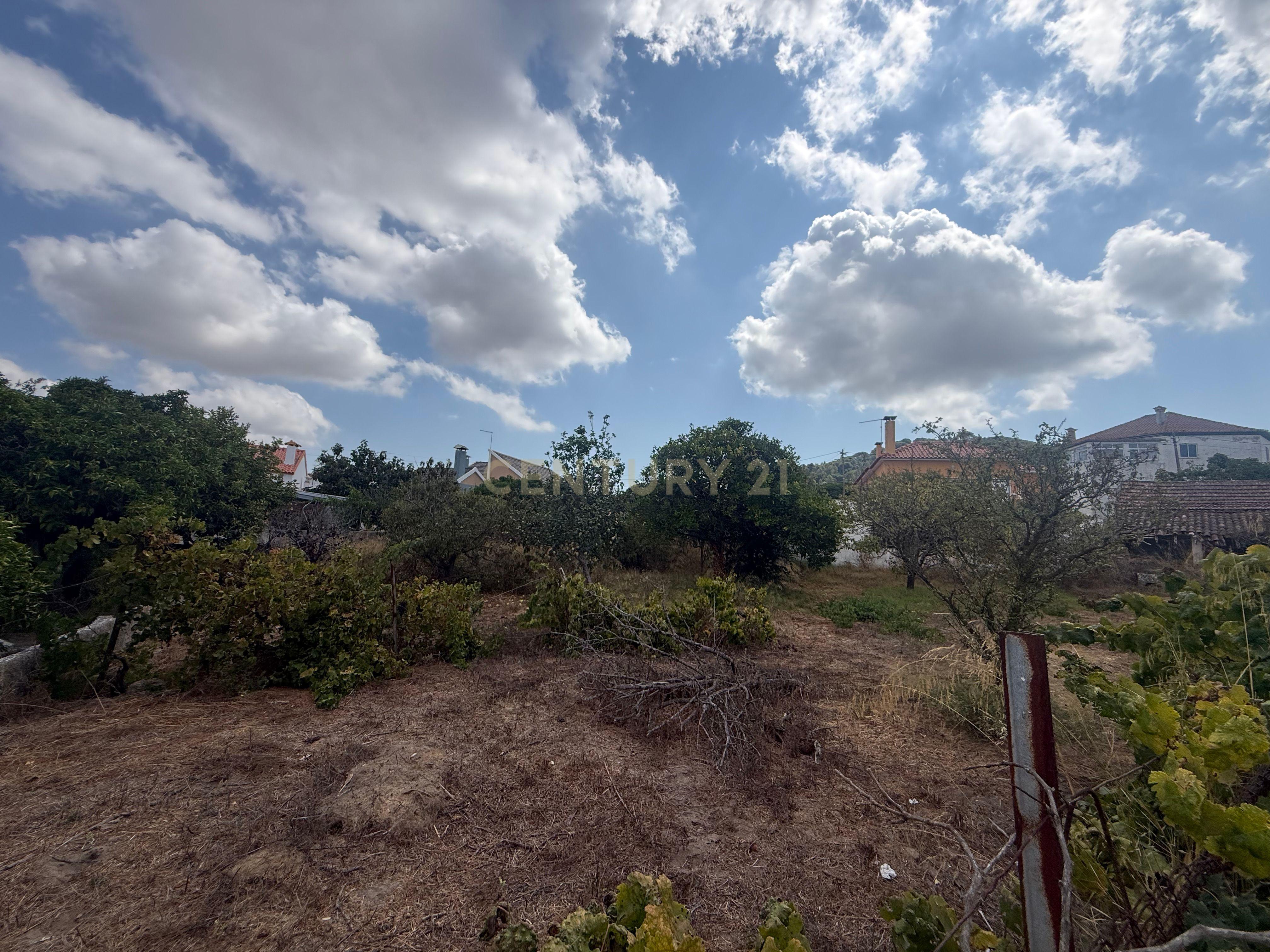 Fotografia 6 de Terreno em Cabanas, quinta do Anjo, Palmela