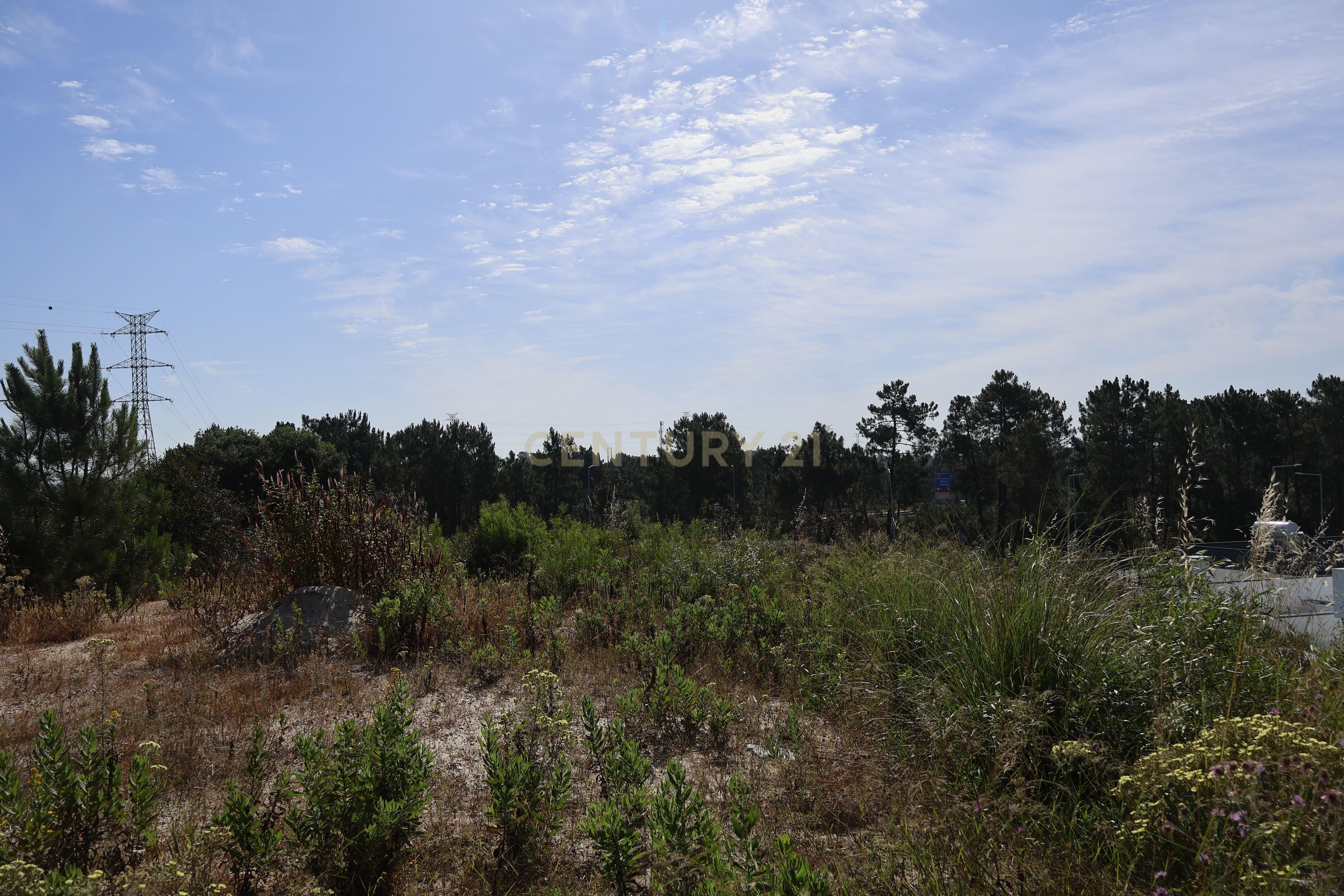 Fotografia 7 de Terreno para construção 374 m² no Pinhal Conde da Cunha (Corroios) - Projeto Moradia 3 pisos + cave - Comunicação Prévia