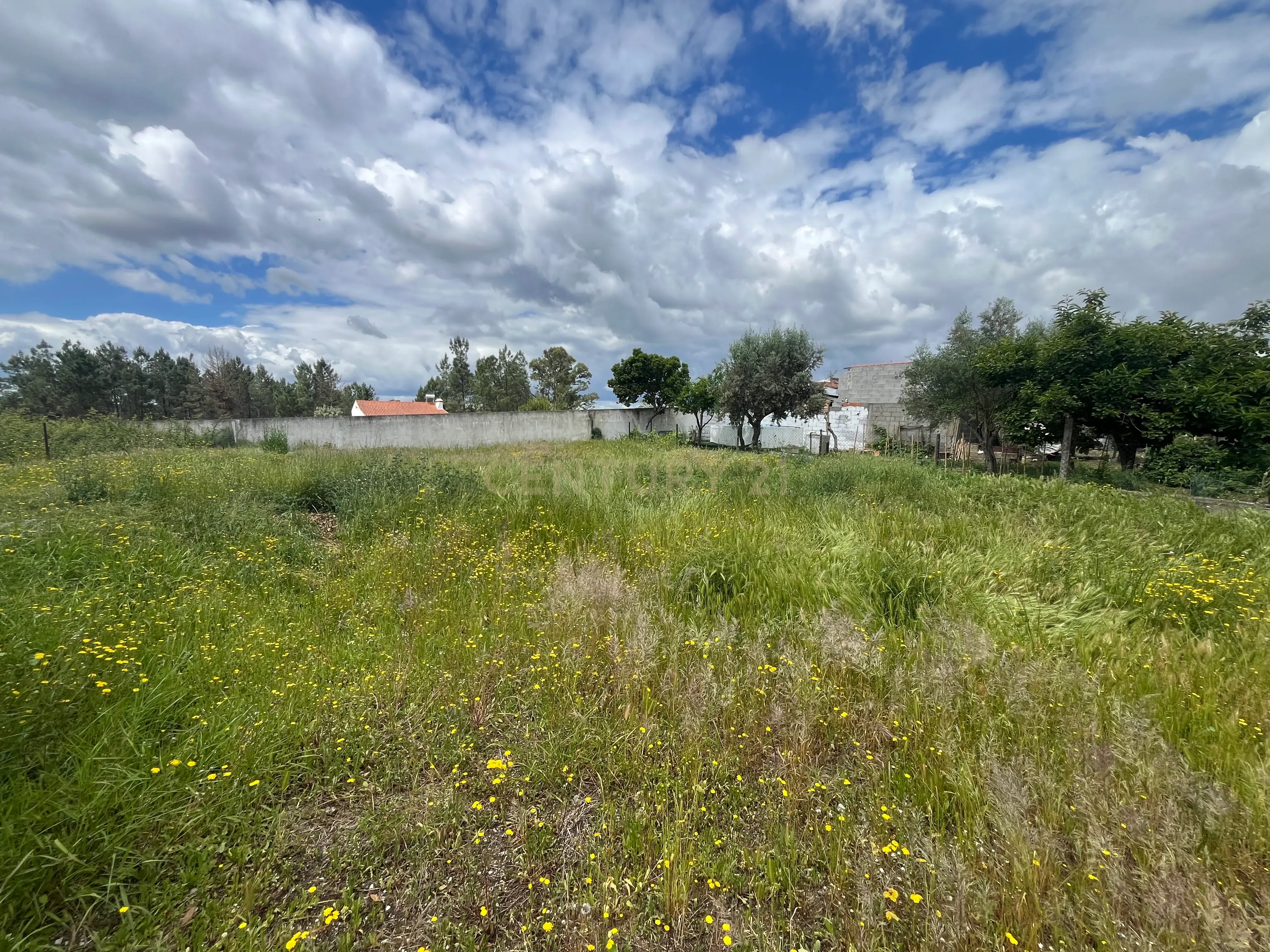 Terreno Urbano com Vista para Serra em Abrantes - Image 16