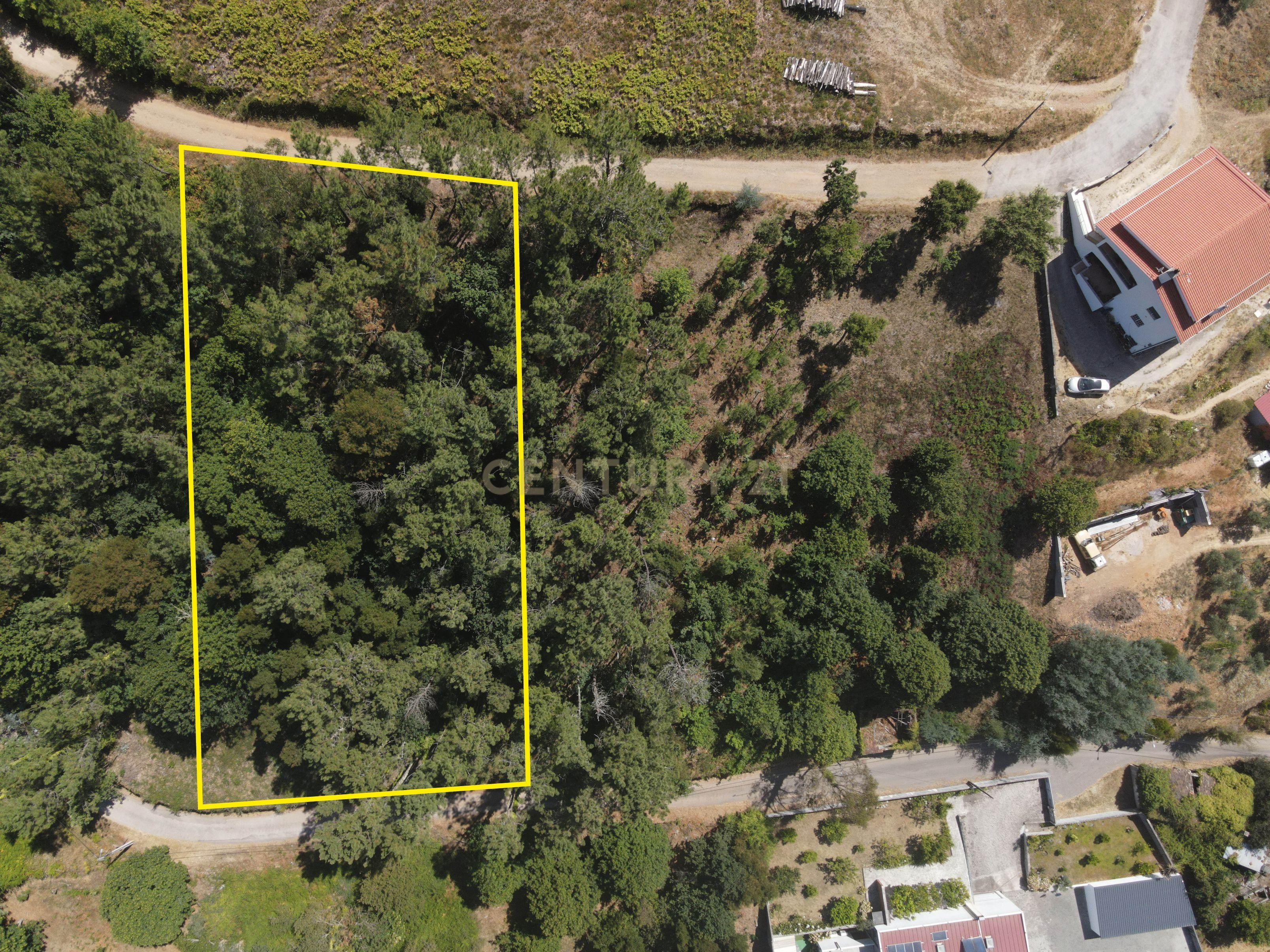 Fotografia 7 de Terreno para construção com projeto aprovado, vistas panorâmicas, bom acesso numa localização exceptional e sossegada a 5 min. de Lousã