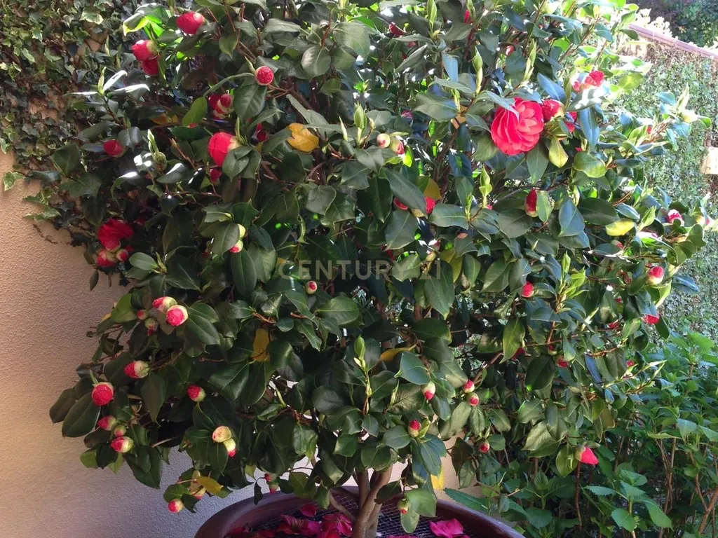 Luxuosa Moradia Renovada em Madrid com Vista para a Cidade - Image 76