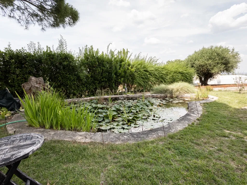 Propriedade Única com Piscina, Lago e Produção de Azeite - Image 49