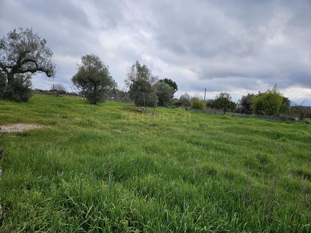 Quintinha na Lousa, Castelo Branco - Image 7