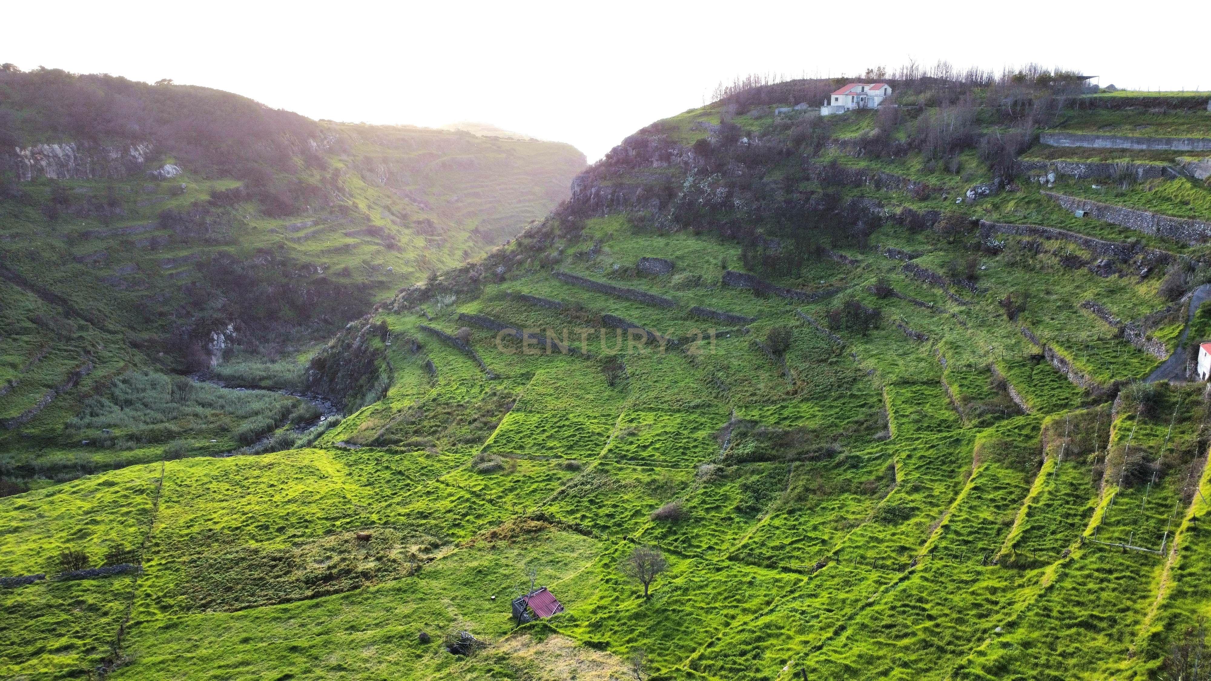 Terreno para Construção na Ponta do Pargo – 8.000 m² em Vale Privilegiado Próximo ao Novo Campo de Golfe - Image 10