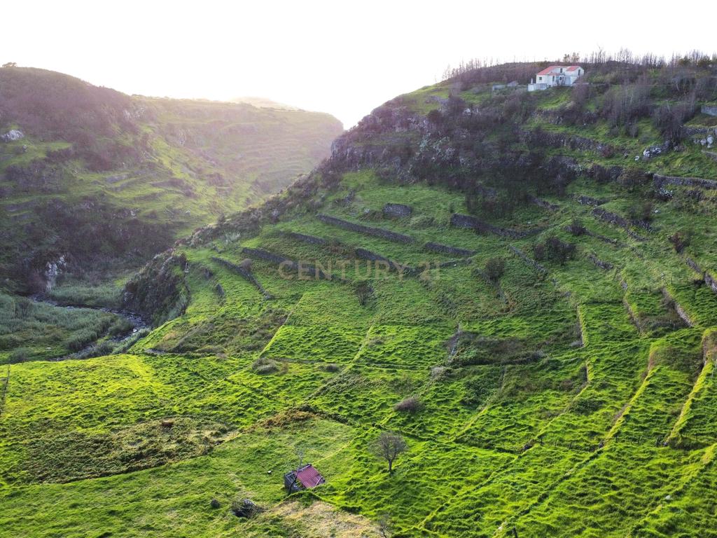 Terreno para Construção na Ponta do Pargo – 8.000 m² em Vale Privilegiado Próximo ao Novo Campo de Golfe - Image 10