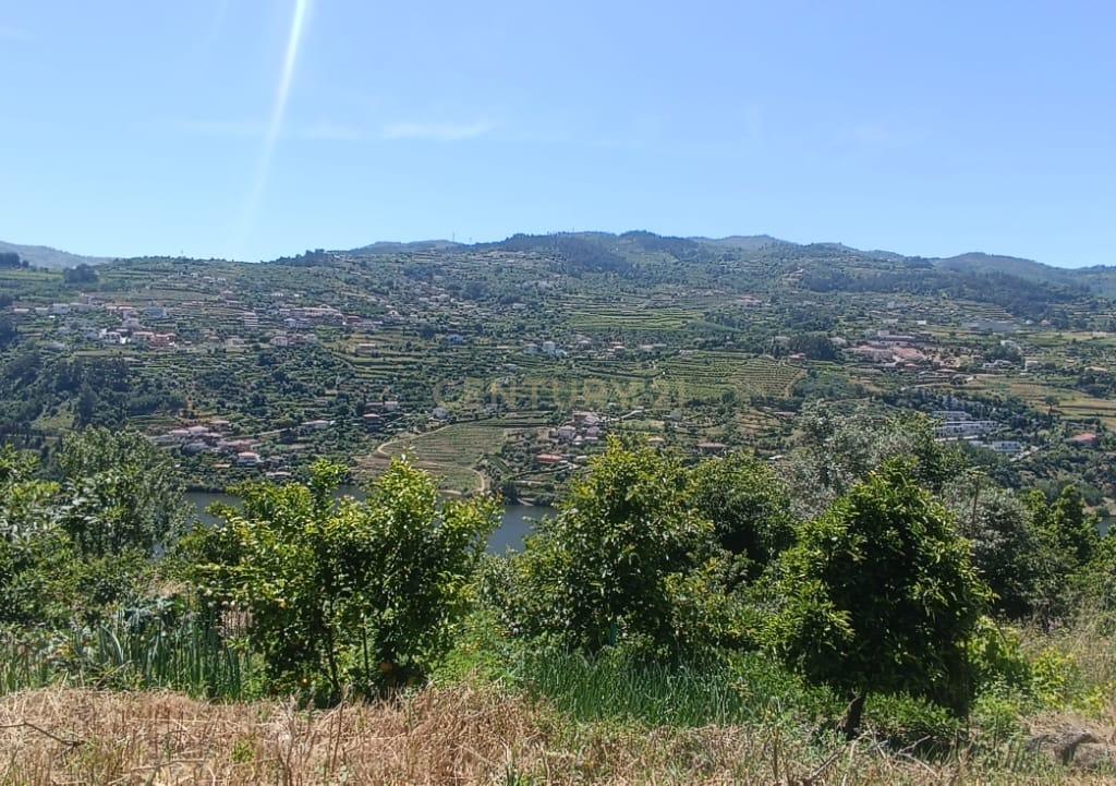 Casa com terreno de construção e agrícola perto do rio Douro em Granja, S. Tomé de Covelas, Baião, Porto - Image 53