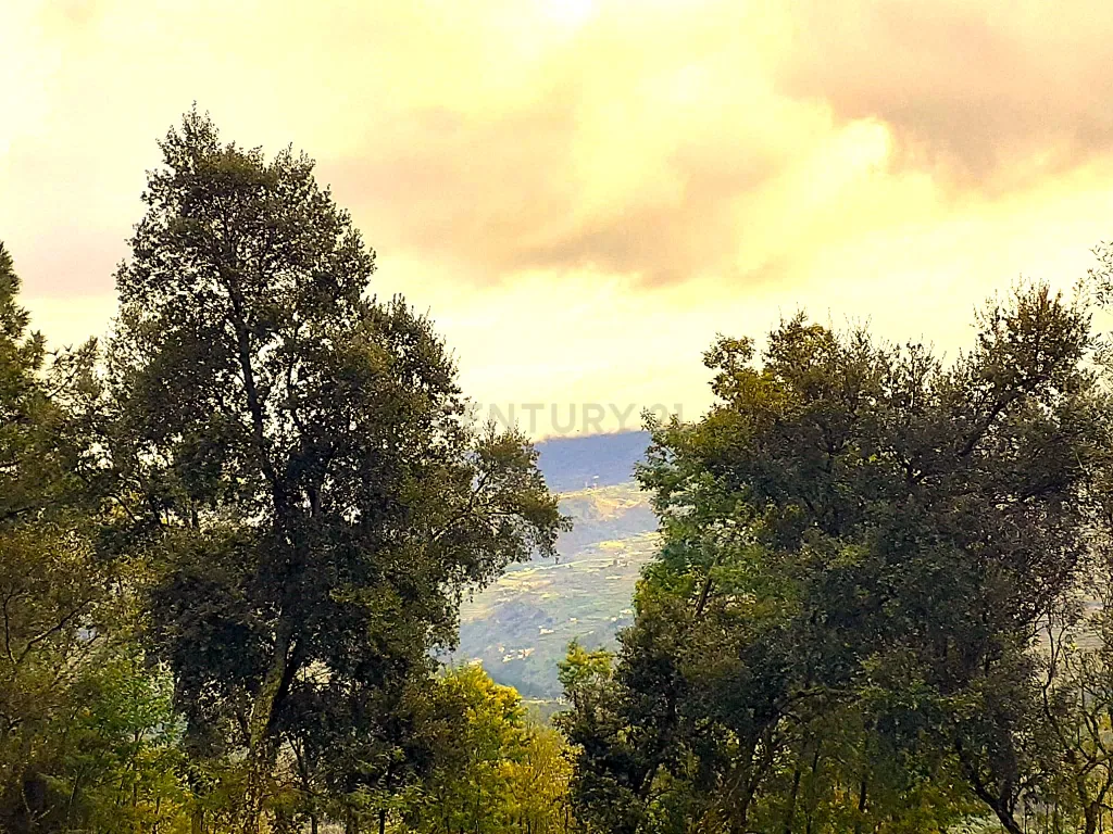 Belíssima ruína em terreno verdejante com vista deslumbrante para o Rio Douro, Baião, Porto - Image 56