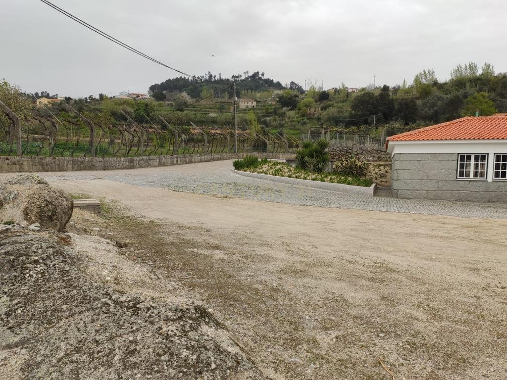 Terreno com casinha e vista para o rio Douro, em S. Tomé de Covelas, Baião para projeto agrícola - Image 45